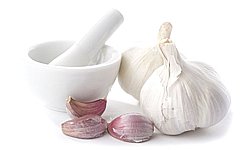 garlic