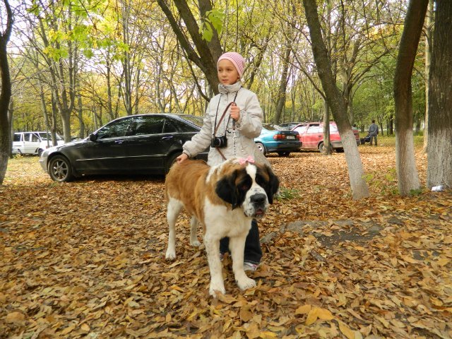 f5083f84abeb