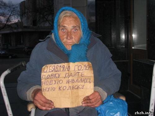 В Житомире у стен облгосадминистрации пенсионерка вновь объ..., фото-1 В Житомире у стен облгосадминистрации пенсионерка вновь объявила голодовку (ФОТО), фото-1