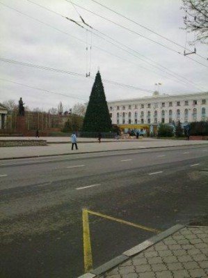В Симферополе наряжают главную елку Крыма (ФОТОФАКТ), фото-1 В Симферополе наряжают главную елку Крыма (ФОТОФАКТ), фото-1