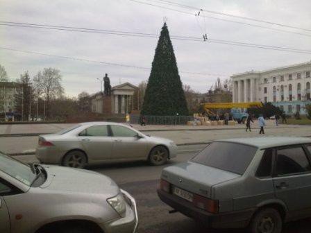 В Симферополе наряжают главную елку Крыма (ФОТОФАКТ), фото-2 В Симферополе наряжают главную елку Крыма (ФОТОФАКТ), фото-2