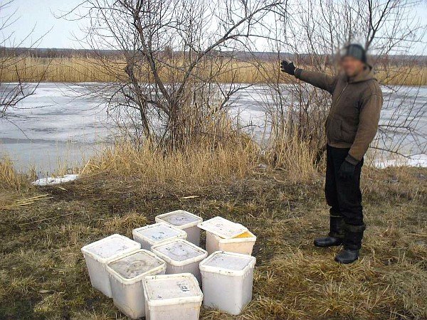 Луганские пограничники пресекли контрабанду меда (фото), фото-1 Луганские пограничники пресекли контрабанду меда (фото), фото-1