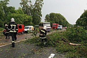 Під час буревію на Тернопіллі постраждала людина, фото-1 Під час буревію на Тернопіллі постраждала людина, фото-1