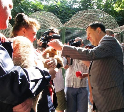 Мэр Одессы Алексей Костусев побывал в гостях у новорожденн..., фото-2 Мэр Одессы Алексей Костусев побывал в гостях у новорожденных львят(фото), фото-2