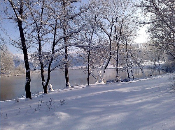Авторов лучших фотографий Артемовского района наградили тыс..., фото-3 Авторов лучших фотографий Артемовского района наградили тысячей, фото-3