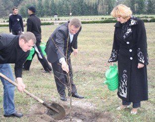 Представники ВО «Свобода» посадили липову алею в Зарваниці, фото-1 Представники ВО «Свобода» посадили липову алею в Зарваниці, фото-1