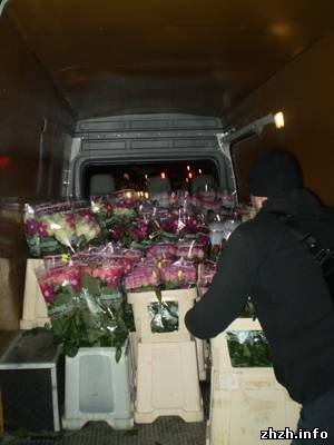 В Житомире микроавтобус снес забор возле ТЦ «Глобал» (ФОТО), фото-7 В Житомире микроавтобус снес забор возле ТЦ «Глобал» (ФОТО), фото-7