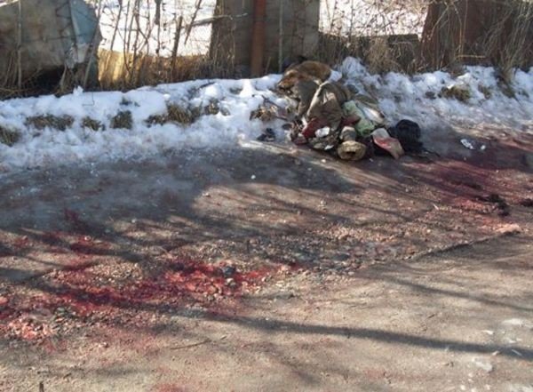 В Симферополе зверски избитую 25-летнюю девушку загрызли собаки (фото), фото-1