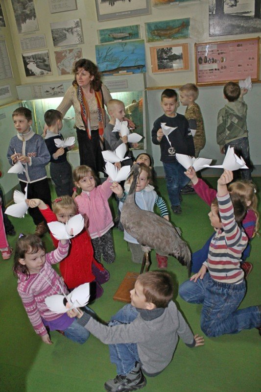 В музеї на Волині зустрічали птахів (ФОТО), фото-2 В музеї на Волині зустрічали птахів (ФОТО), фото-2