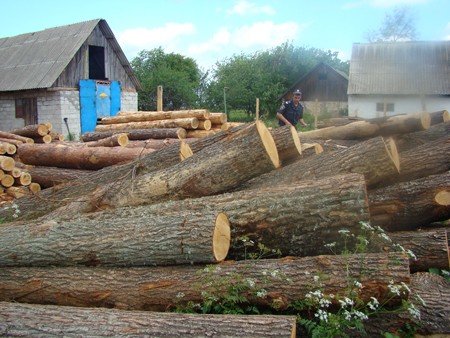 На Брусилівщині міліціонери виявили підпільну пилораму та с..., фото-1 На Брусилівщині міліціонери виявили підпільну пилораму та сухі коноплі, фото-1