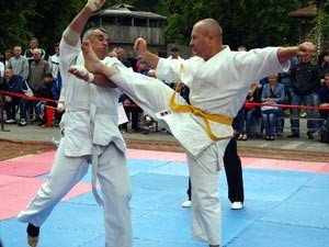 Відкритий чемпіонат Житомирської області з кіокушин-карате..., фото-1 Відкритий чемпіонат Житомирської області з кіокушин-карате пройшов у міському Парку культури та відпочинку, фото-1