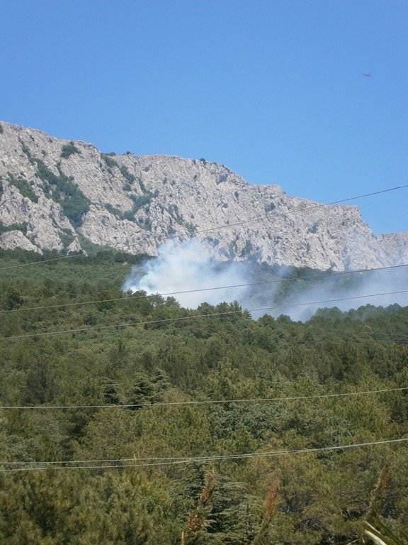 МЧС уже на месте - пожар у  Бекетово, фото-2