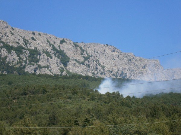 МЧС уже на месте - пожар у  Бекетово, фото-3
