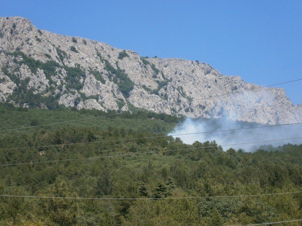 МЧС уже на месте - пожар у  Бекетово, фото-4