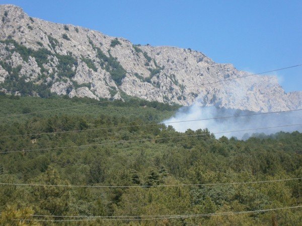 МЧС уже на месте - пожар у  Бекетово, фото-5