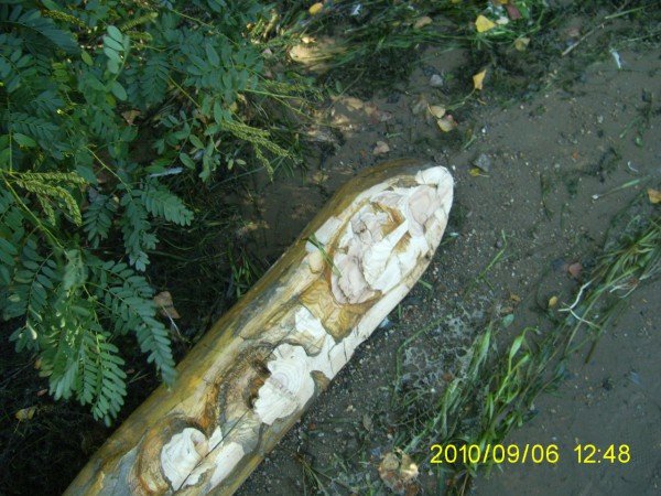 запорожье запорожье