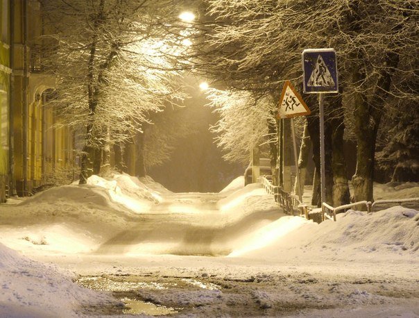 Затримання великої партії наркотиків, акція проти зведення..., фото-17 Затримання великої партії наркотиків, акція проти зведення багатоповерхівки, розсекречені матеріали УПА – головні події у фото та відео, фото-17
