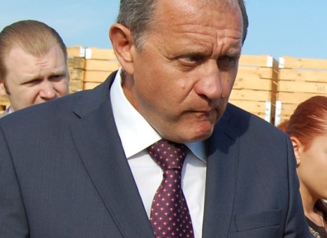 могилев яблоки 2 могилев яблоки 2