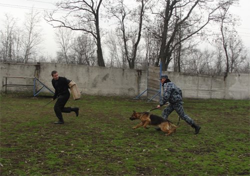 На Кировоградщине дошкольники посетили Кинологический центр (ФОТО)... На Кировоградщине дошкольники посетили Кинологический центр (ФОТО) (фото) - фото 3