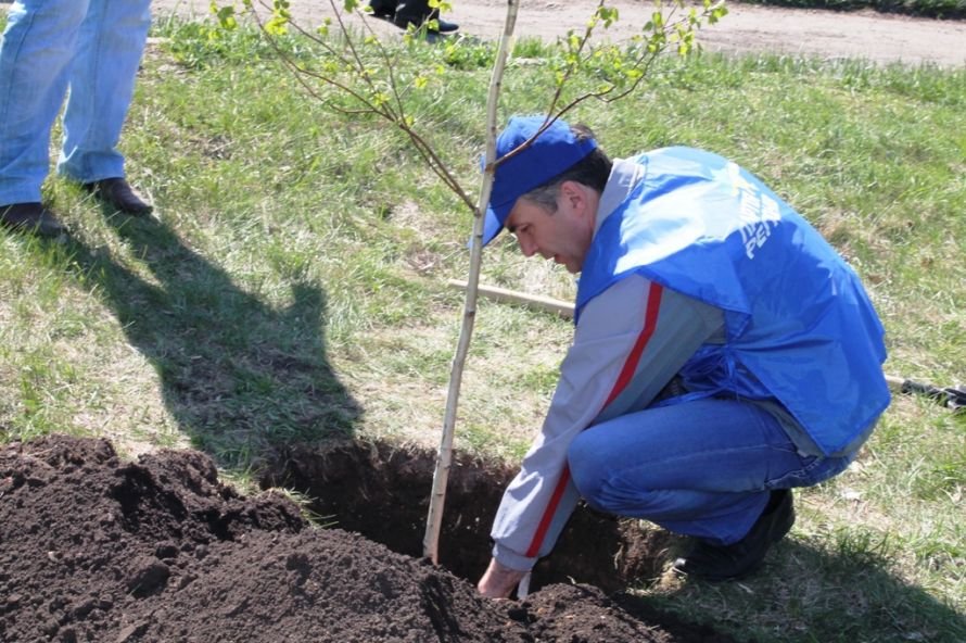 Сергей Клюев принял участие в высадке березовой аллеи в Ар..., фото-10 Сергей Клюев принял участие в высадке березовой аллеи в Артемовске (ФОТО), фото-10