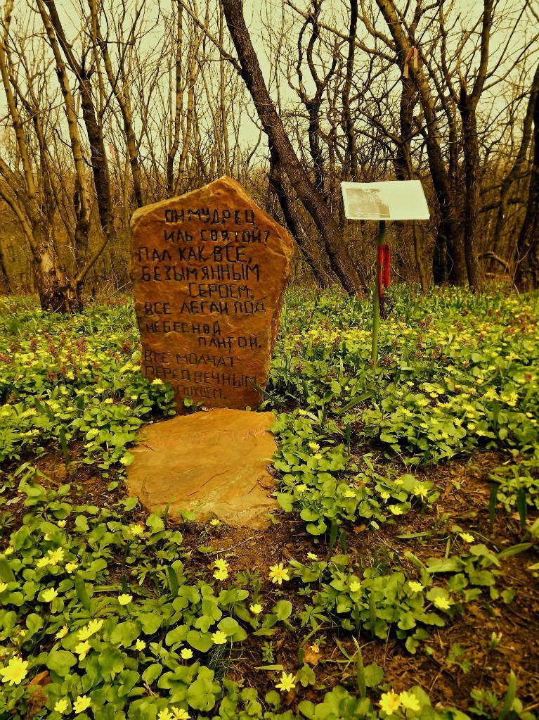 37zneKvEmGA