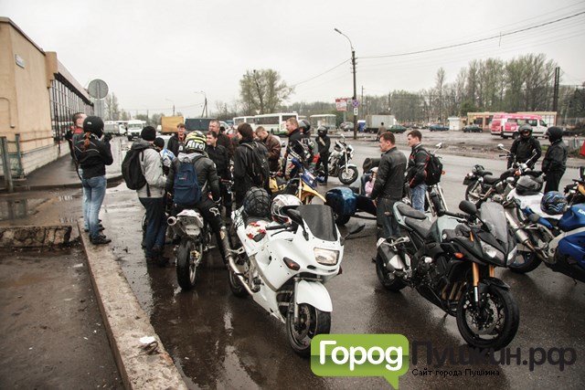 IMG_7133 (Копировать) IMG_7133 (Копировать)