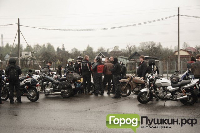 IMG_7136 (Копировать) IMG_7136 (Копировать)