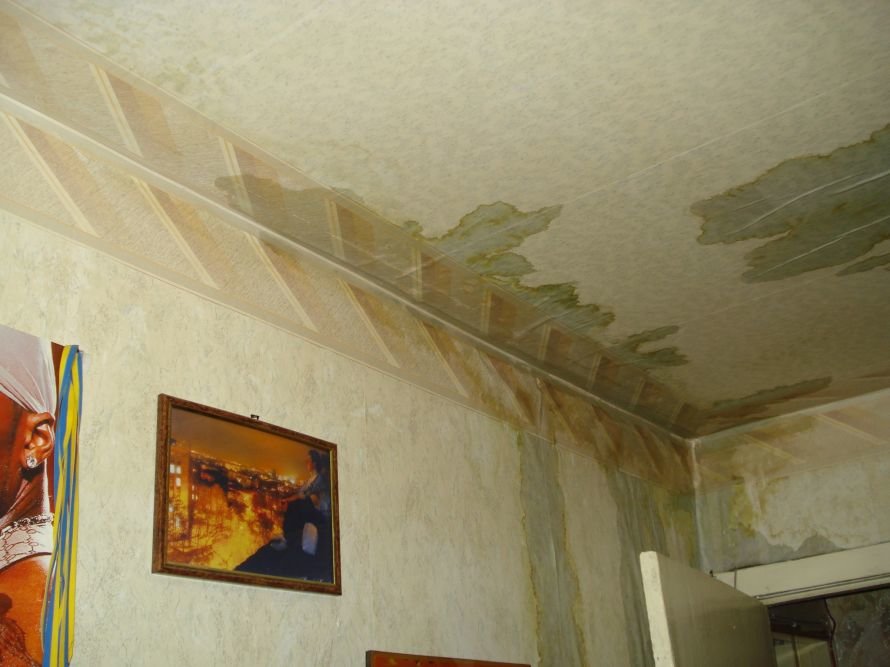 DSC07499