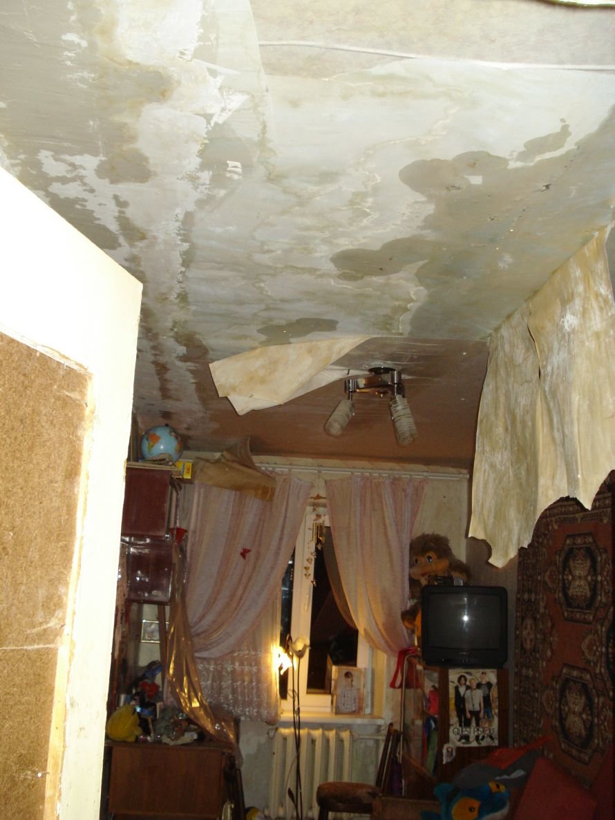 DSC07513