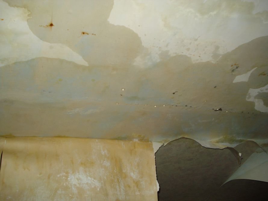 DSC07505