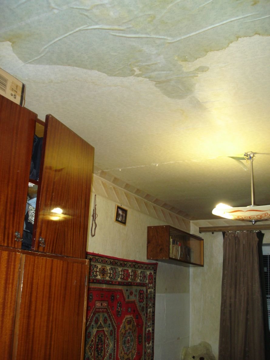 DSC07498