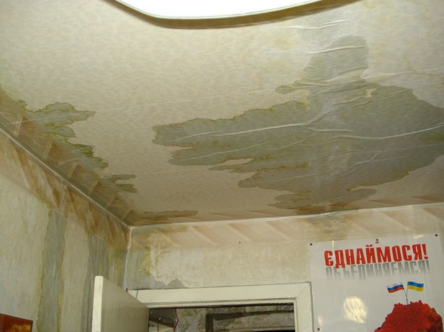 DSC07500