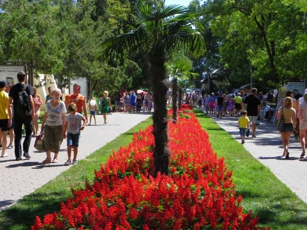 аркадия алея аркадия алея