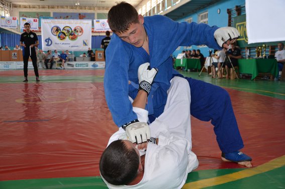 PM587image003