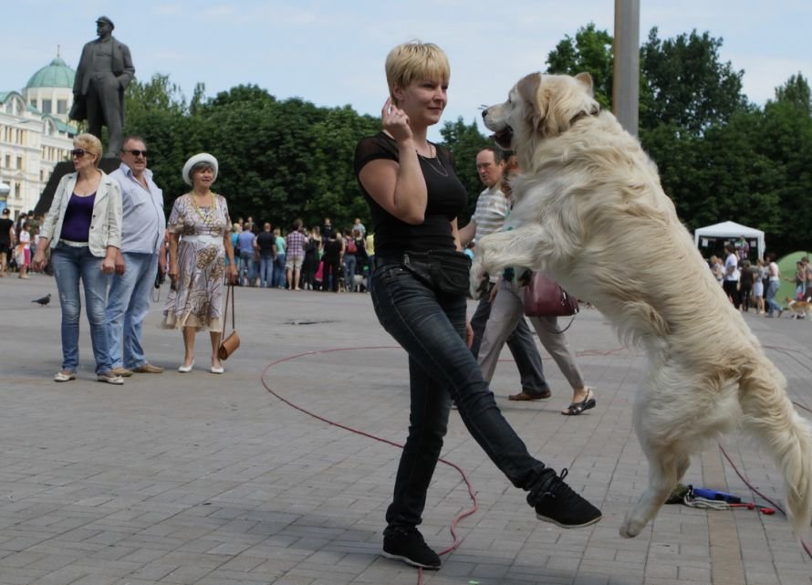 IMG_9851_новый размер IMG_9851_новый размер