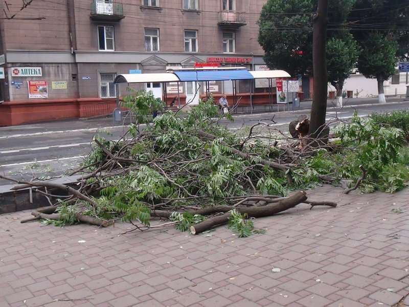 DSC01021_новый размер DSC01021_новый размер