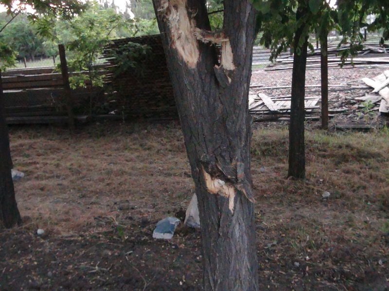DSC01250_новый размер DSC01250_новый размер