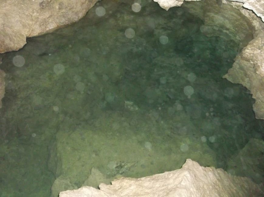 DSCF5517
