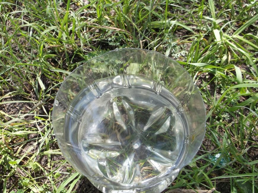 DSCF5230