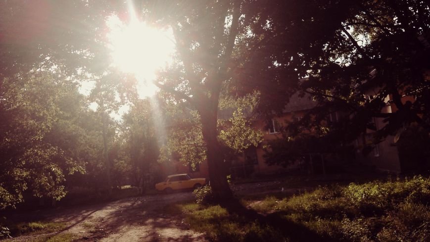 IMAG0788