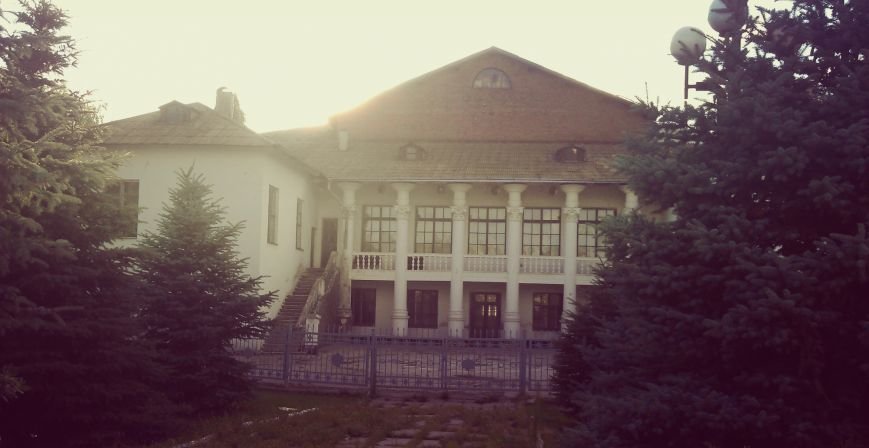 IMAG0802