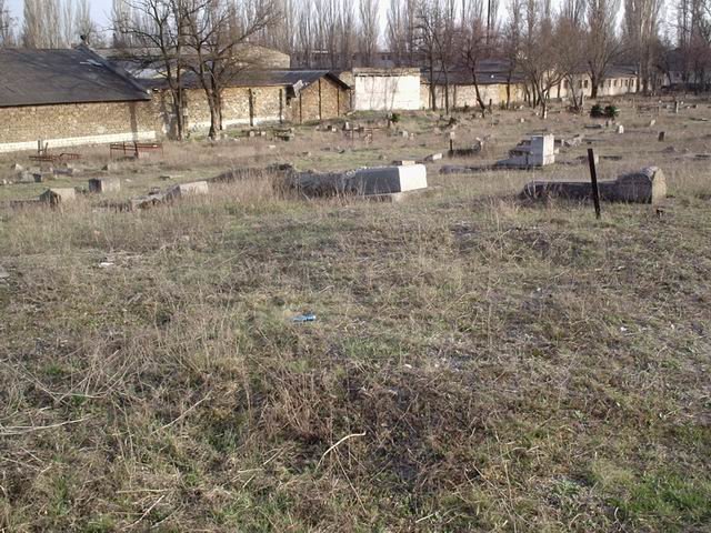 Resize of Еврейское кладбище 059 Resize of Еврейское кладбище 059