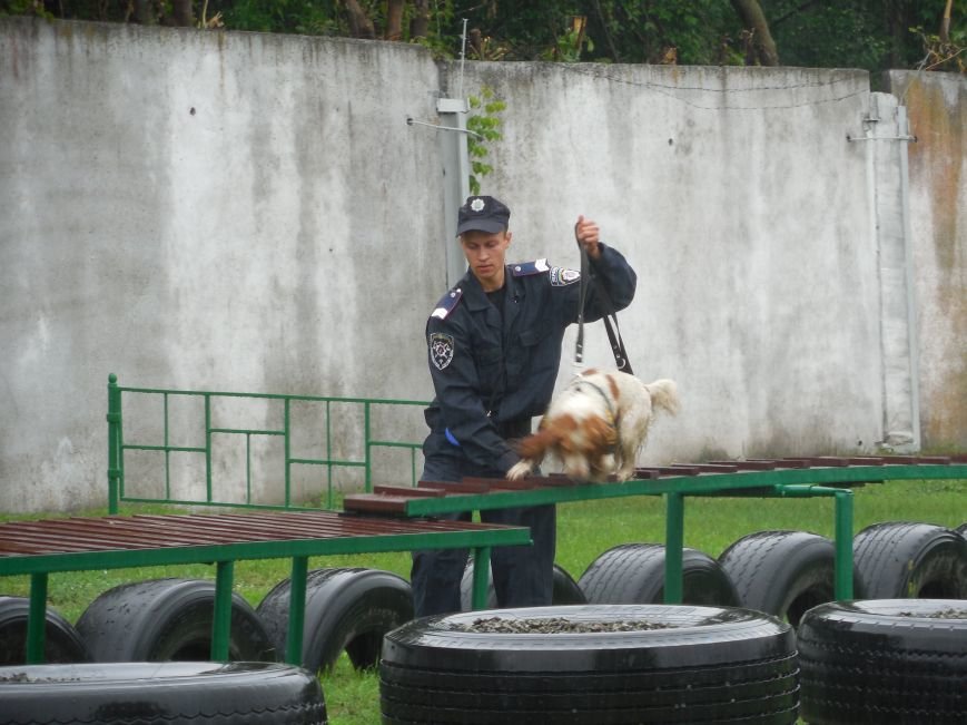 DSCN0734