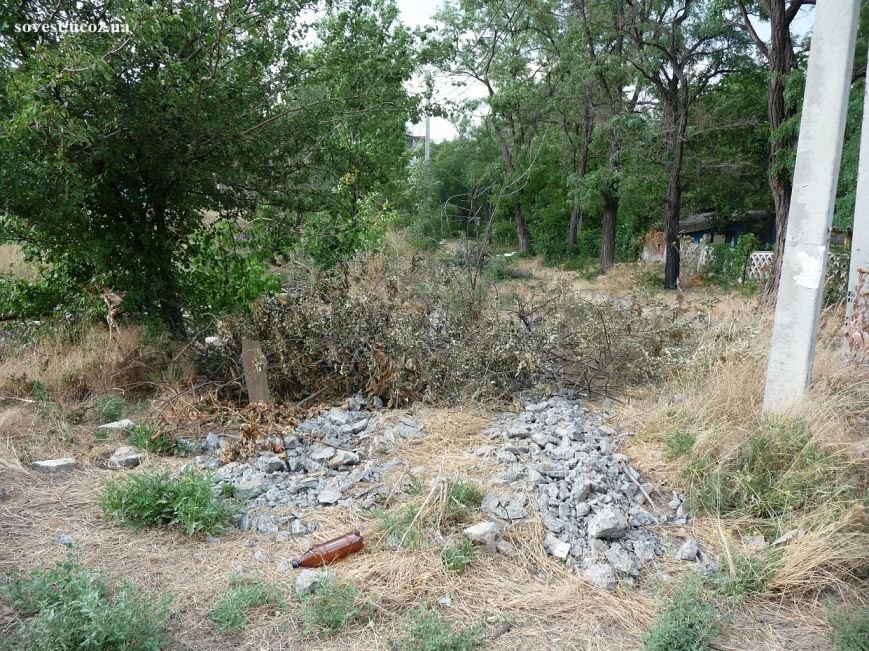 P1170019