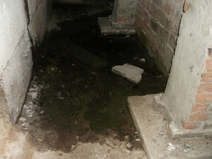 DSCF6526