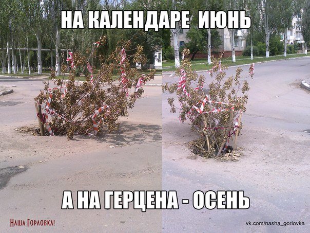 aTTNoKSrx7U