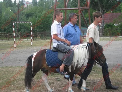 иппотерапия3 иппотерапия3