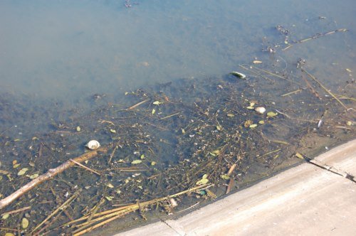 водойма15 водойма15