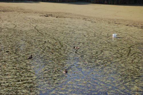 водойма8 водойма8