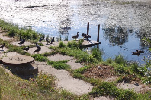 водойма9 водойма9